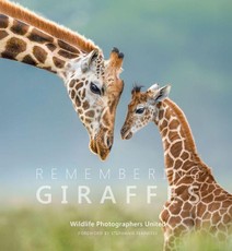 Remembering Giraffes