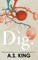 King, A: DIG -LP