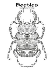 Beetles Coloring Book for Grown-Ups 1