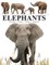 Elephants