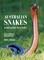 Australian Snakes