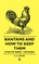 Bantams and How to Keep Them (Poultry Series - Chickens)