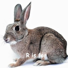 R is for ...