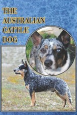 The Australian Cattle Dog