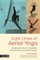 Eight Limbs of Aerial Yoga