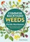 Common Backyard Weeds of the Pacific Northwest