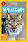 Wild Cats