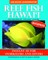 Reef Fish Hawai'i