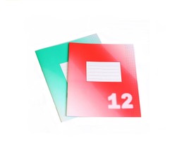 Sąsiuvinis EXTRA 12l. langeliais