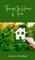 Through the House of Time