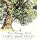 The Things That I Love about Trees