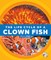 The Life Cycle of a Clown Fish