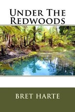 Under The Redwoods