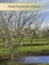 Prune Production Manual