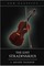 Lost Stradivarius