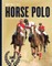 Intro to Horse Polo
