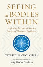 Seeing the Bodies Within