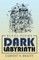 Dark Labyrinth