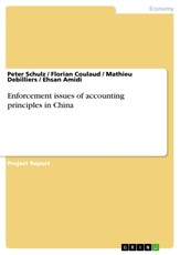 Enforcement issues of accounting principles in China