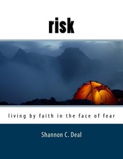 Risk (Workbook Format)