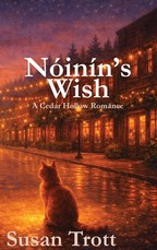 NÃÂ³inÃÂ­n's Wish