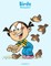 Birds Coloring Book 8