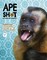 Ape Shit