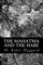The Mahatma and the Hare