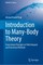 Introduction to Many-Body Theory