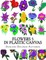 Flowers 5