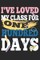 I've loved My Class For 100 Days