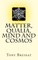 Matter, Qualia, Mind and Cosmos