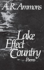 Lake Effect Country: Poems