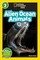 Colosi, R: Alien Ocean Animals (National Geographic Kids Rea (el. knyga)