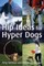 Hip Ideas for Hyper Dogs