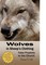 Wolves In Sheep's Clothing