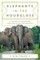 Elephants in the Hourglass