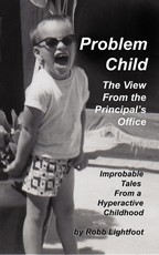 Problem Child: The View From The Principal's Office