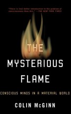 The Mysterious Flame