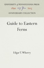 Guide to Eastern Ferns
