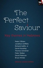The Perfect Saviour