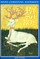 Hans Christian Andersen. Pasakos I
