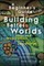 A Beginner's Guide to Building Better Worlds