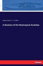 A Revision of the Neotropical Anatidae