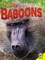 Baboons