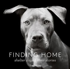 Finding Home