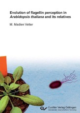 Evolution of flagellin perception in Arabidopsis thaliana and its relatives