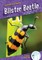 Blister Beetle
