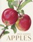 Rosie Sanders' Apples