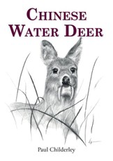 Chinese Water Deer